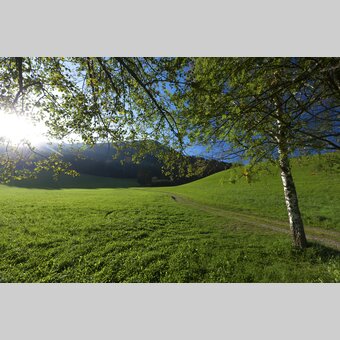 Hemma-Pilgerweg, Naturpark Grebenzen | © STG | Harry Schiffer