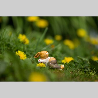 Osterhase auf Steiermark-Urlaub | © STG | Bernhard Loder