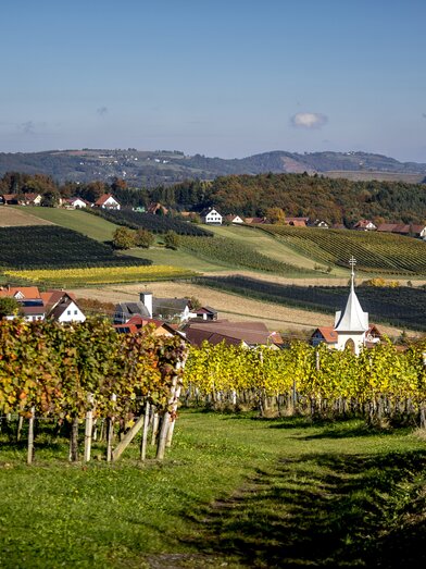 Weinlandschaft in Klöch mit Blick auf St. Anna am Aigen, Südoststeiermark | © STG | Tom Lamm