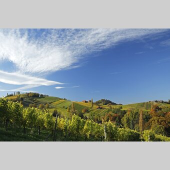 Southern Styria in autumn | © Steiermark Tourismus | Herbert Raffalt