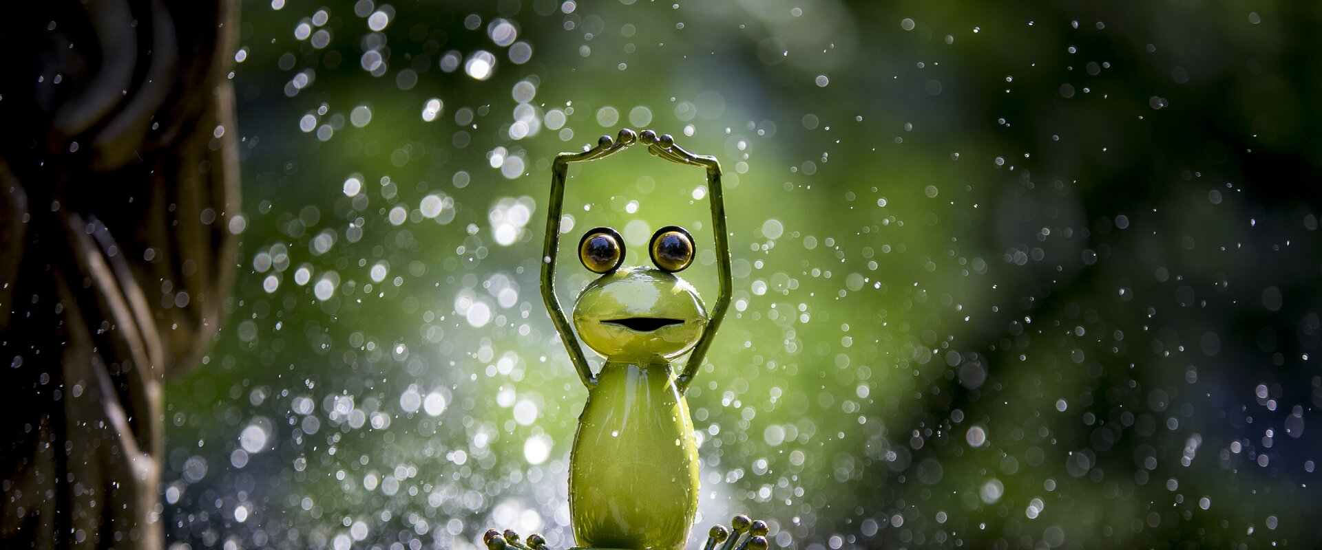 Styrian frog in his element | © Steiermark Tourismus | Tom Lamm