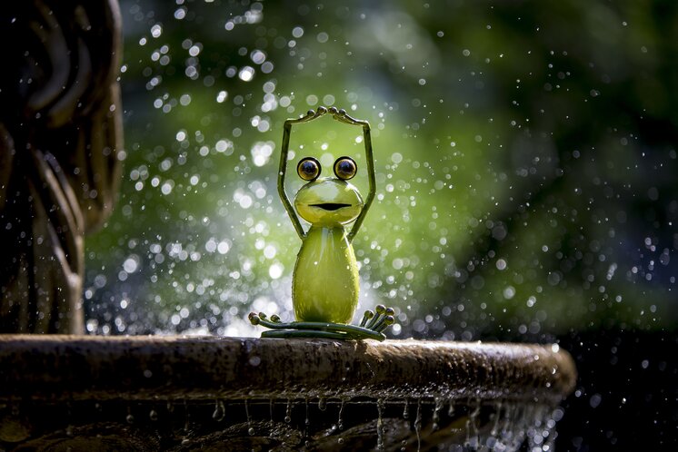 Styrian frog in his element | © Steiermark Tourismus | Tom Lamm