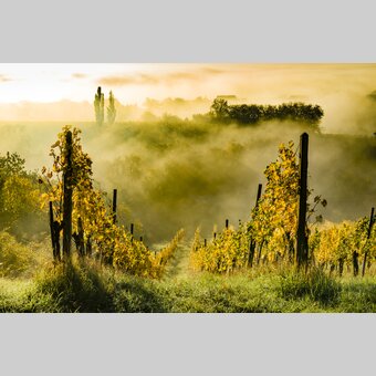 Southern Styria | © Steiermark Tourismus | pixelmaker.at