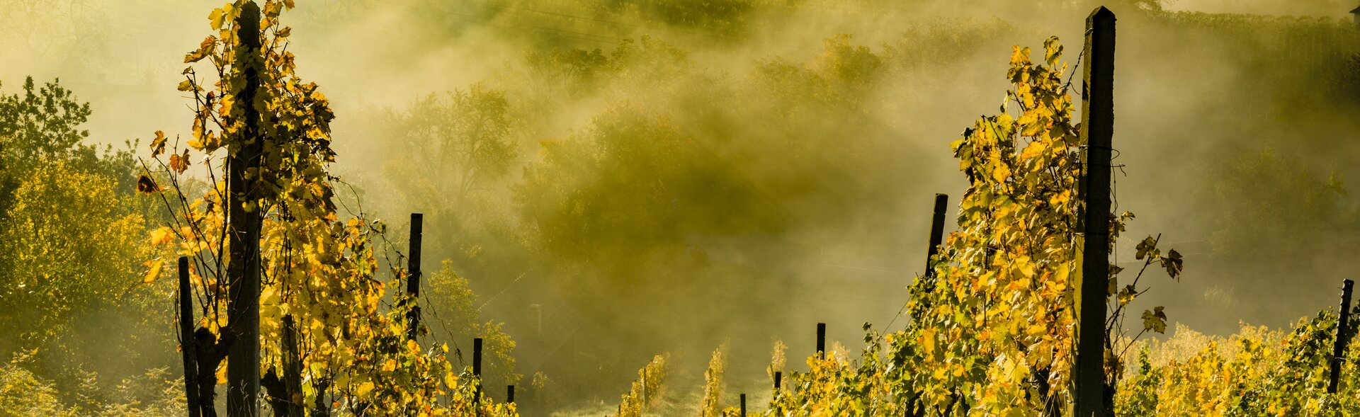 Südsteiermark