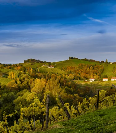 Südsteirische Weinstraße | © STG | pixelmaker.at