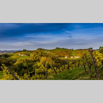 South Styrian Wine route | © Steiermark Tourismus | pixelmaker.at