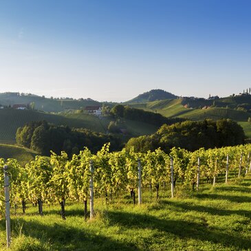 Südsteiermark