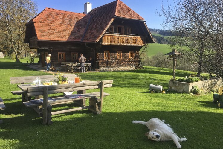 Holidays with a dog | © Steiermark Tourismus | Amra Candic