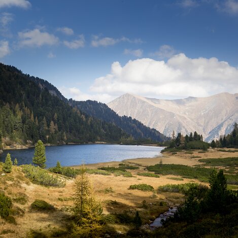 Zwieflersee im Naturpark Sölktäler | © STG | Tom Lamm