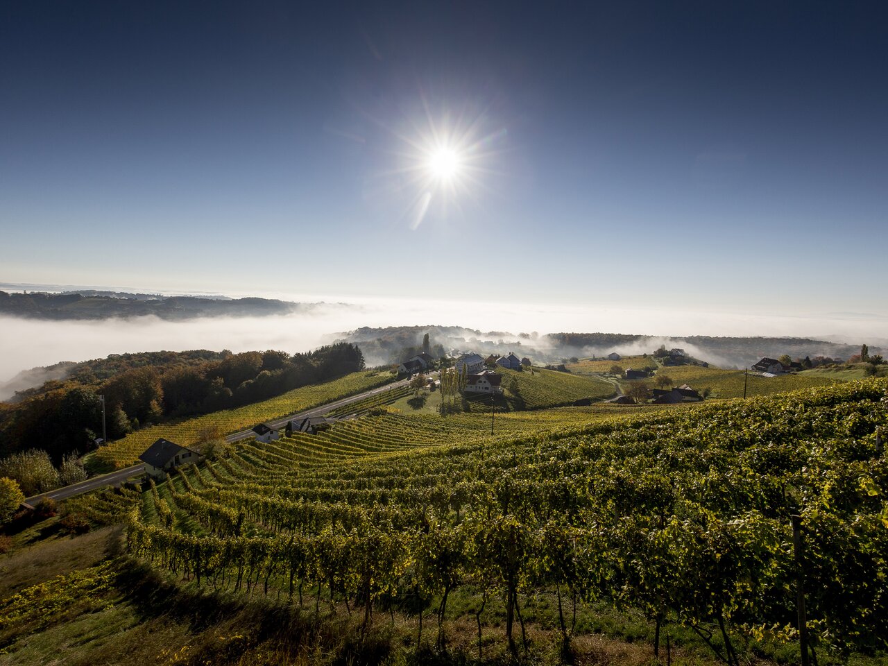 Weinlandschaft rund um Klöch im Morgenlicht, Südoststeiermark | © STG | Tom Lamm