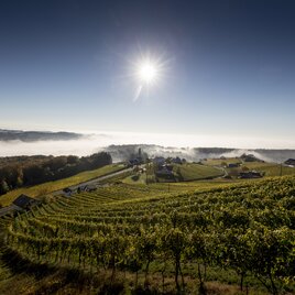 Weinlandschaft rund um Klöch im Morgenlicht, Südoststeiermark