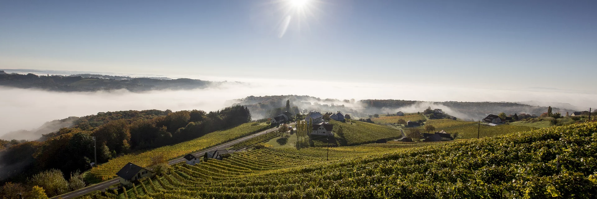 Weinlandschaft rund um Klöch im Morgenlicht, Südoststeiermark | © STG | Tom Lamm