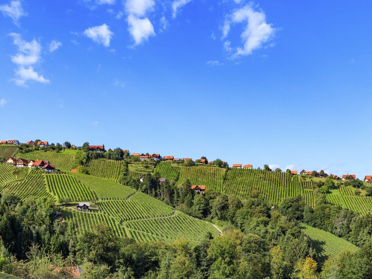 Hochgrail im Schilcherland | © Schilcherland Steiermark | Lupi Spuma