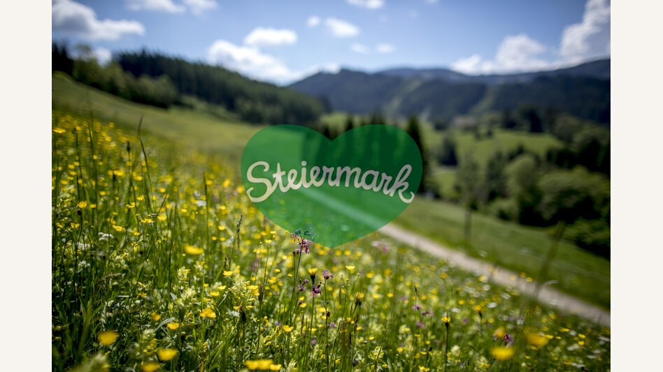 Blumenwiese mit Aussicht auf der Roatmoaralm in St. Margarethen im Murtal | © STG | Tom Lamm