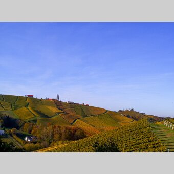 The Wine Cycle Tour, Gamlitz | © Steiermark Tourismus | Martina Haselwander