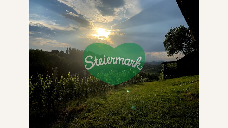 The Wine Cycle Tour, Gamlitz | © Steiermark Tourismus | Klein