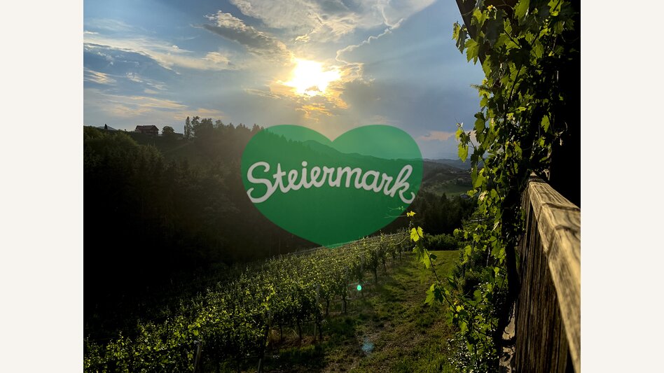 The Wine Cycle Tour, Gamlitz | © Steiermark Tourismus | Klein