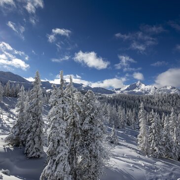 Winterlandschaft auf der Planneralm