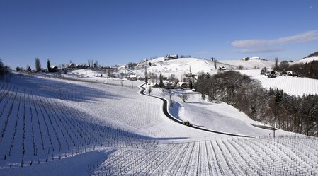 Südsteirisches Weinland im Winterkleid | © Steiermark Tourismus | Gery Wolf