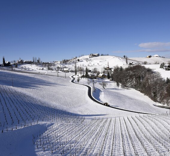 Südsteirisches Weinland im Winterkleid | © Steiermark Tourismus | Gery Wolf