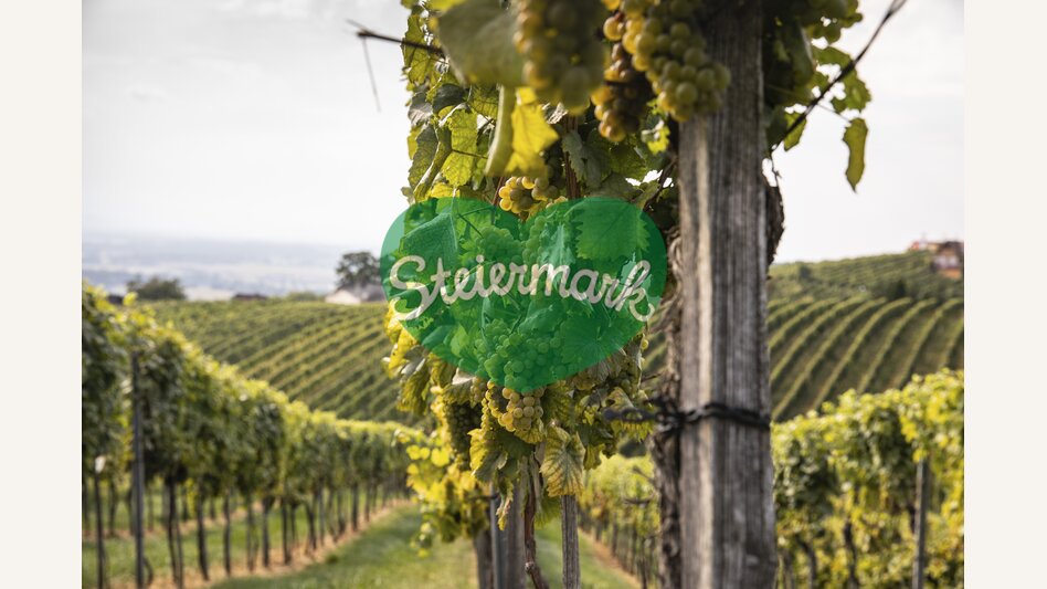 Healing power from the Wine (Garden) | © Steiermark Tourismus | Punkt & Komma