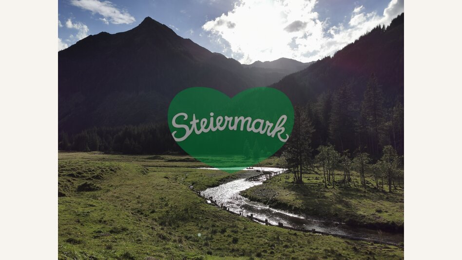 Bräualm stream at nature park Sölktäler | © Steiermark Tourismus | Martina Haselwander