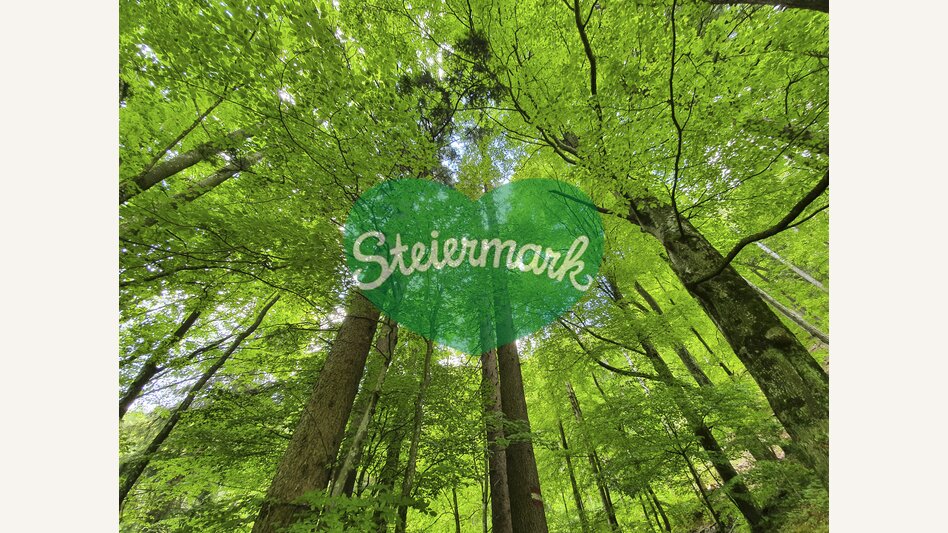 Styria, the Green Heart of Austria | © Steiermark Tourismus | Günther Steininger