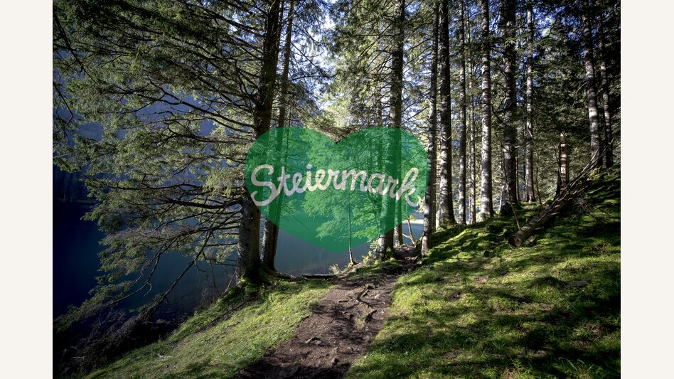 forest track at Schwarzensee lake | © Steiermark Tourismus | Tom Lamm