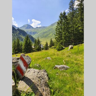 Eselsberger Alps (Oberwölz-Lachtal) | © Steiermark Tourismus | Günther Steininger
