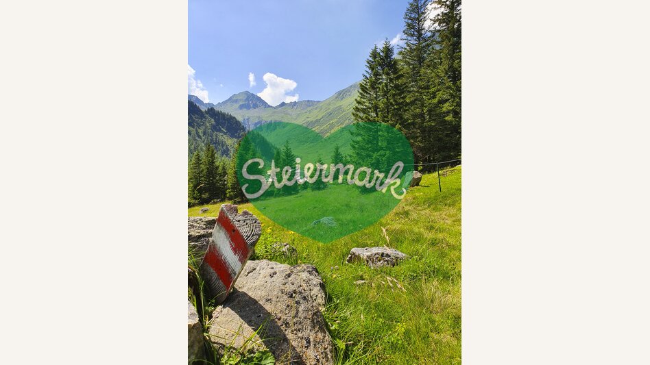 Eselsberger Alps (Oberwölz-Lachtal) | © Steiermark Tourismus | Günther Steininger