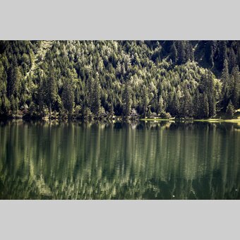 Shades of green at Schwarzensee lake | © Steiermark Tourismus | Tom Lamm