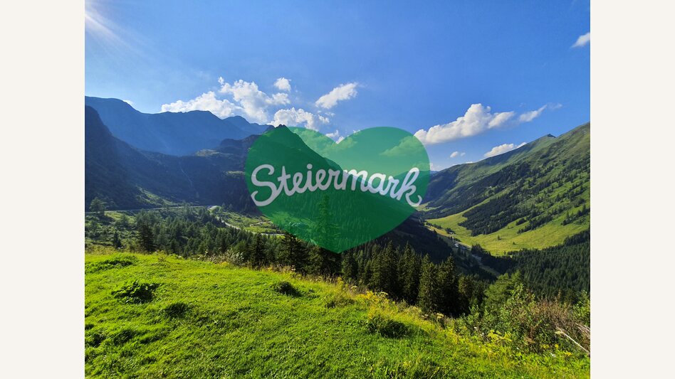 Eselsberger alps (Oberwölz-Lachtal) | © Steiermark Tourismus | Günther Steininger