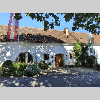Vineyard Winkler-Hermaden | © Steiermark Tourismus | Günther Steininger
