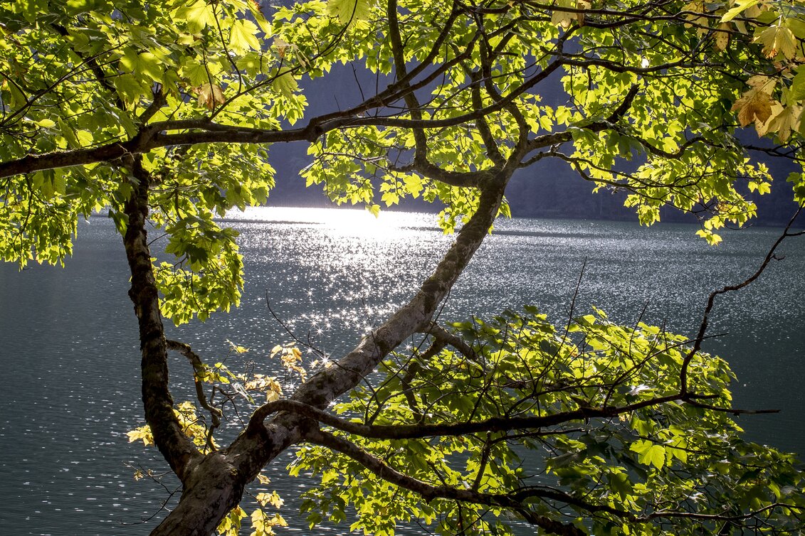 Am Schwarzensee | © STG | Tom Lamm