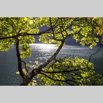 Am Schwarzensee | © STG | Tom Lamm