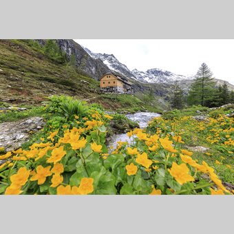 Golling lodge: spring at the Niederen Tauern | © Steiermark Tourismus | photo-austria.at