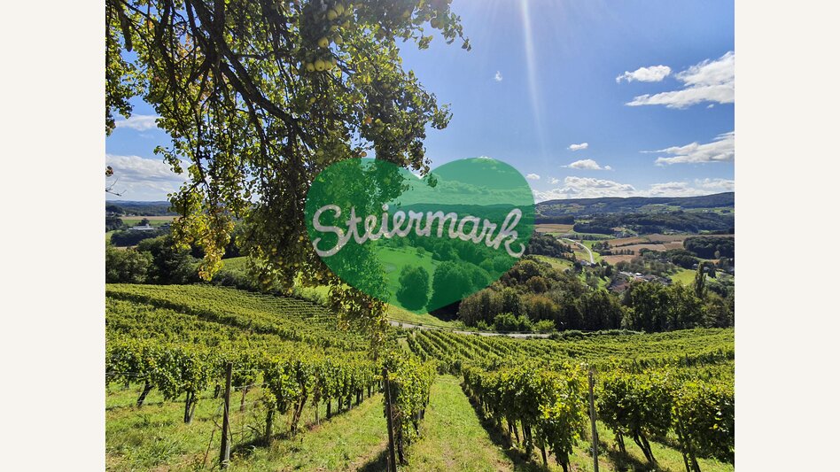 View at Kapfenstein near Weingut Winkler-Hermaden | © Steiermark Tourismus | Günther Steininger