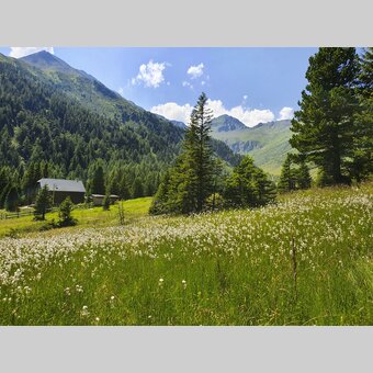 Eselsberger alps (bei Oberwölz-Lachtal) | © Steiermark Tourismus | Günther Steininger
