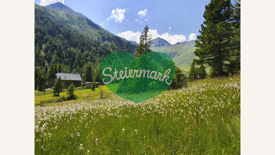 Eselsberger alps (bei Oberwölz-Lachtal) | © Steiermark Tourismus | Günther Steininger