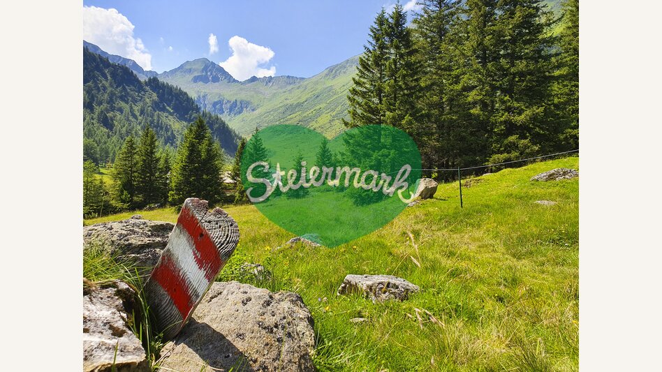 Eselsberger Alps (Oberwölz-Lachtal) | © Steiermark Tourismus | Günther Steininger
