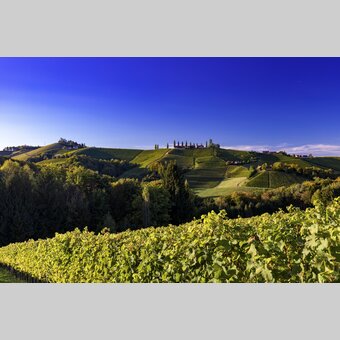 Southern Styria | © Steiermark Tourismus | Harry Schiffer