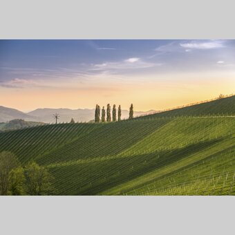 Southern Styria | © Steiermark Tourismus | Wolfgang Jauk