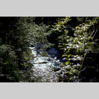 Bräualmbach stream near St. Nikolai im Sölktal | © Steiermark Tourismus | Tom Lamm