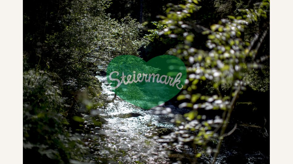Bräualmbach stream near St. Nikolai im Sölktal | © Steiermark Tourismus | Tom Lamm