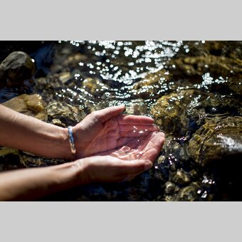 Crystal clear water in the Green Heart  | © Steiermark Tourismus | Tom Lamm