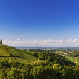 Südsteiermark