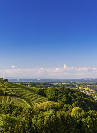 Südsteiermark | © STG | Harry Schiffer