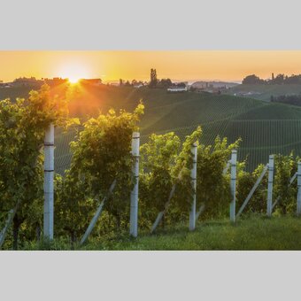 Southern Styria | © Steiermark Tourismus | Wolfgang Jauk