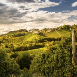 Südsteiermark