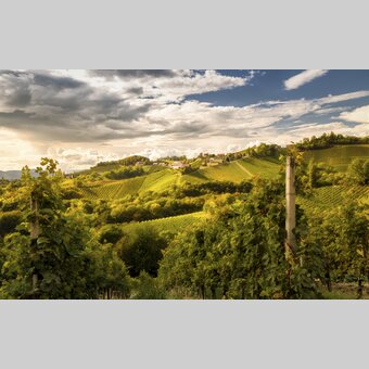 Southern Styria | © Steiermark Tourismus | Wolfgang Jauk